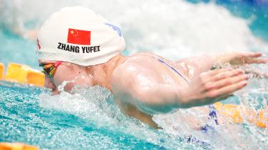 今年的阵容 今年的阵容