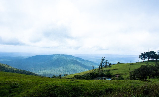 AC米兰采 AC米兰采