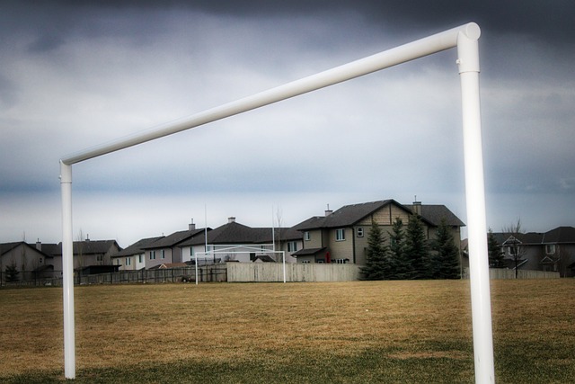 打乱他们的 打乱他们的