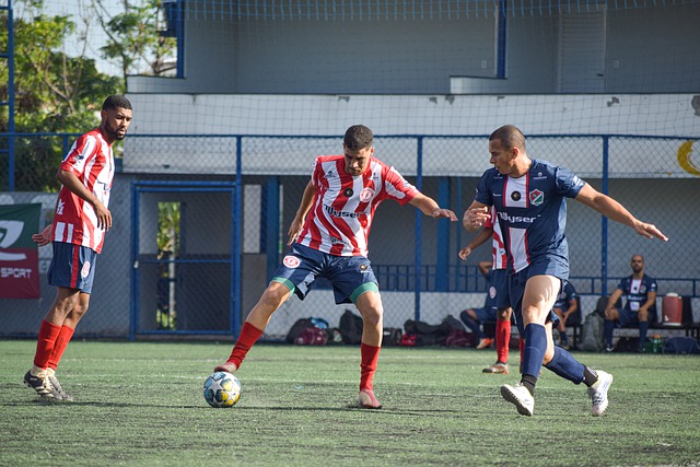 森林队的防 森林队的防