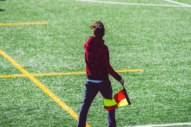 僅引發了業 僅引發了業