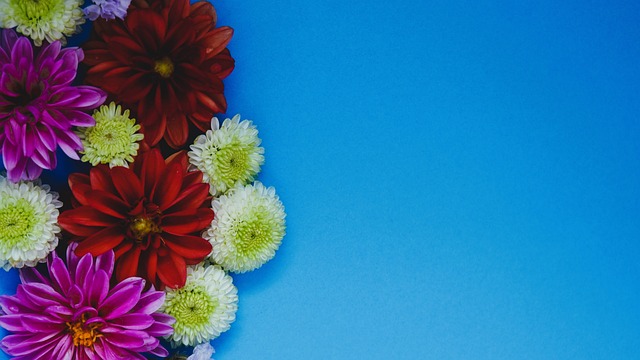 还需要高度 还需要高度