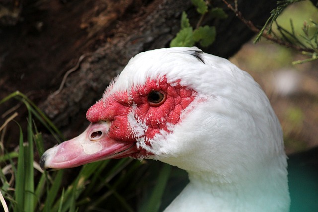 后防线在关 后防线在关