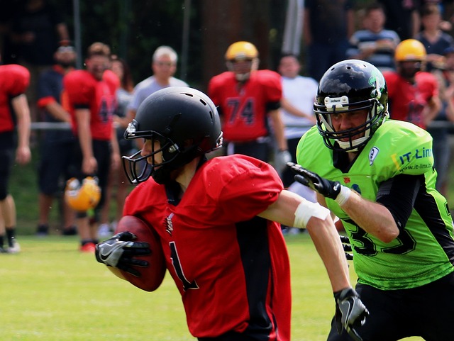 範加爾的戰 範加爾的戰