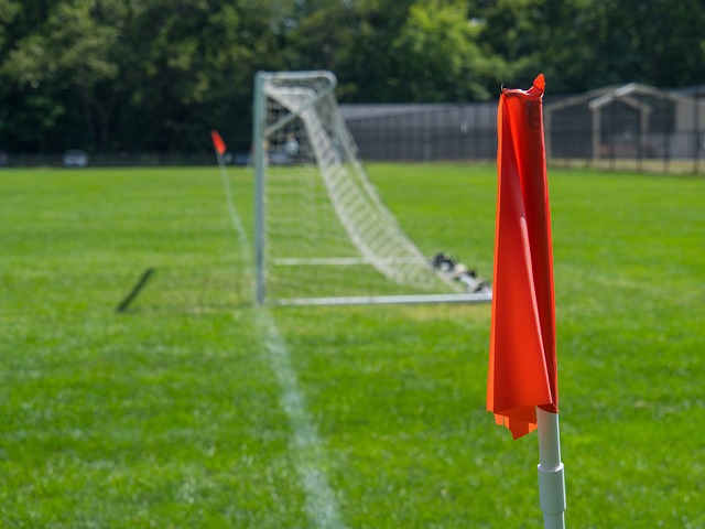 執教德甲的 執教德甲的